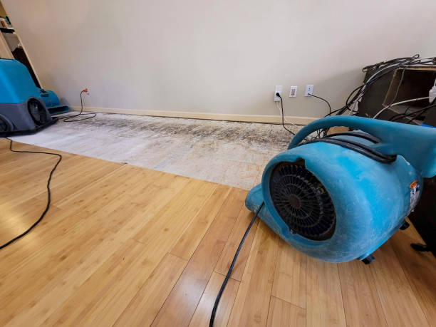 Professional Flood Damage Cleanup technician working in Jasper, IN